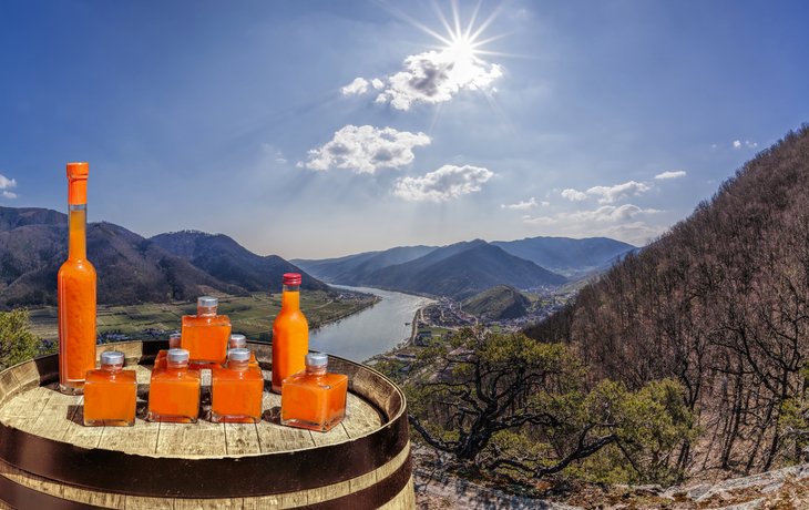 Wachauer Marillenlikör