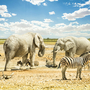 Etosha Nationalpark