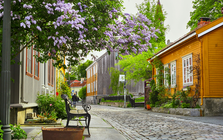 Bakklandet, Trondheim