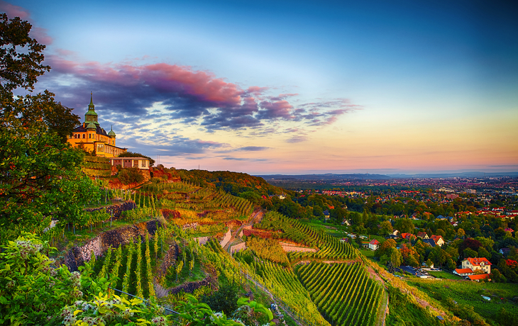 Radebeuls Weinhänge