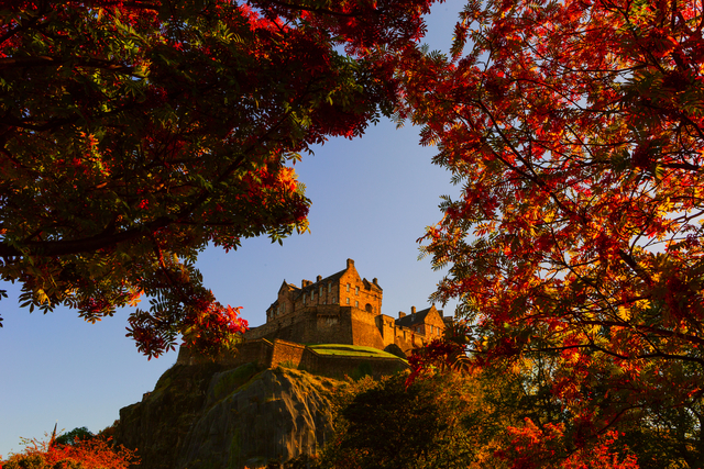 Edinburgh Castle eingerahmt von herbstlichen Baumzweigen