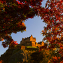 Edinburgh Castle eingerahmt von herbstlichen Baumzweigen