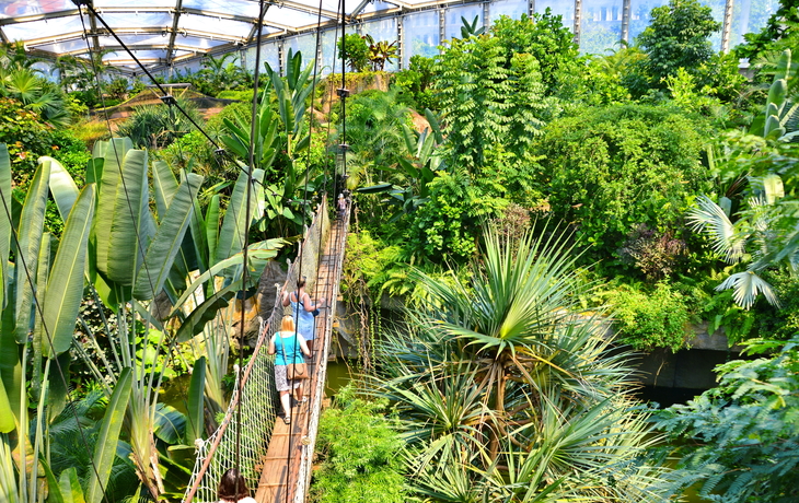 Riesentropenhalle Gondwanaland