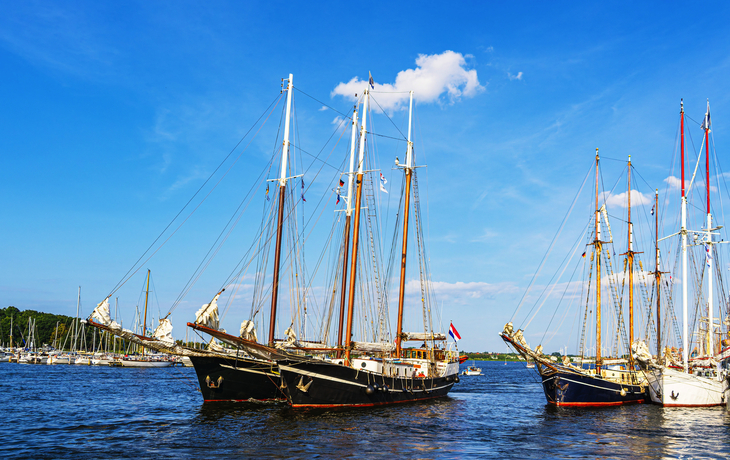 Hanse Sail in Rostock